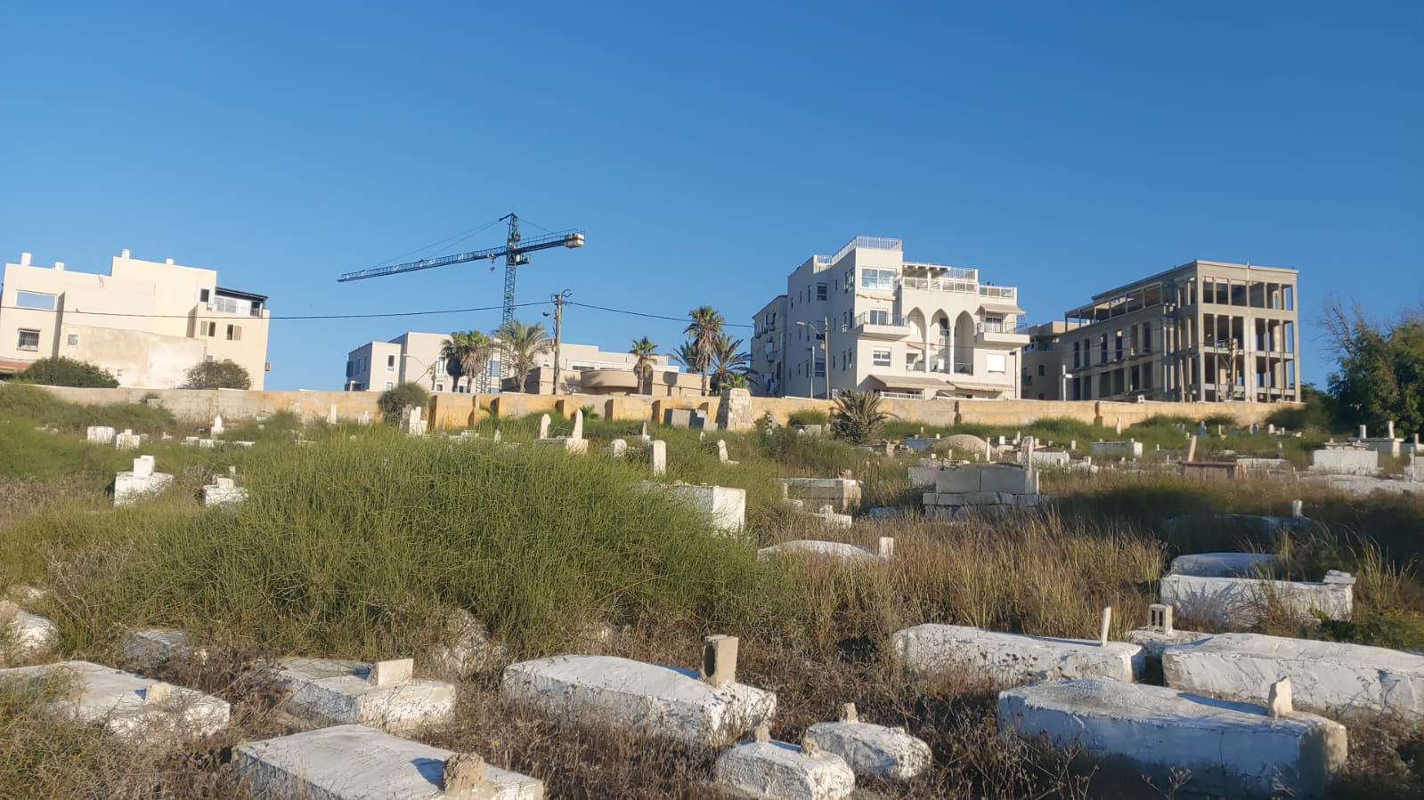 WhatsApp Image 2020-08-17 at 7.30.14 PM (2).jpeg.jpeg